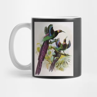 Woodland Birds-Available As Art Prints-Mugs,Cases,Duvets,T Shirts,Stickers,etc Mug